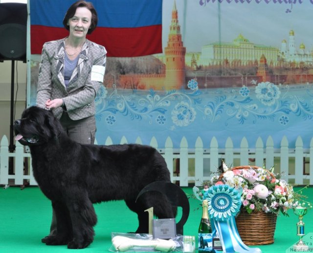 Фотография № 90916