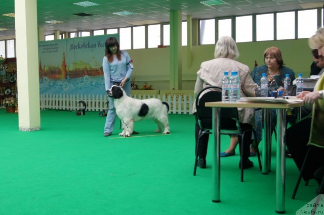 Фотография № 90928