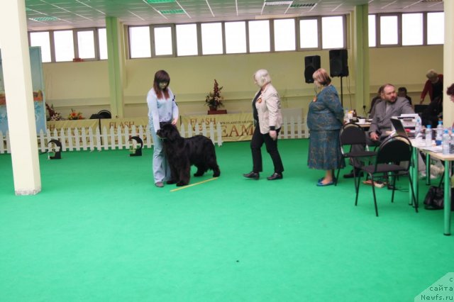 Фотография № 90931