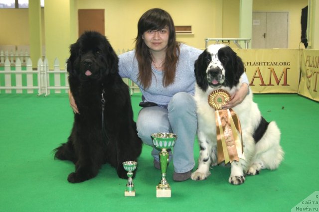 Фотография № 90934