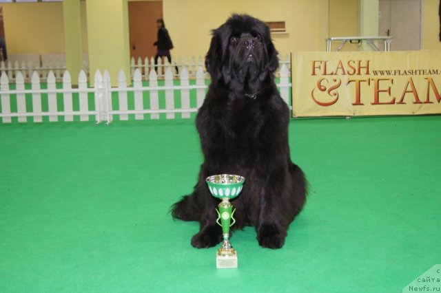 Фотография № 90936