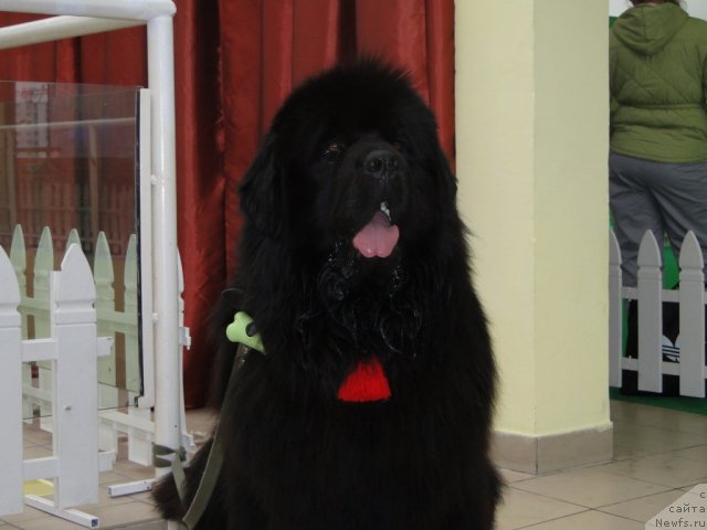 Фотография № 90943