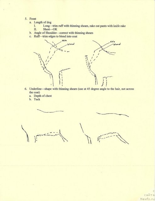 Фотография № 90947