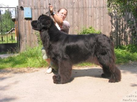 Фотография № 91