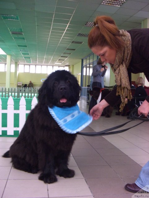 Фотография № 91041