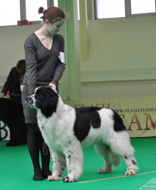 Фотография № 91075