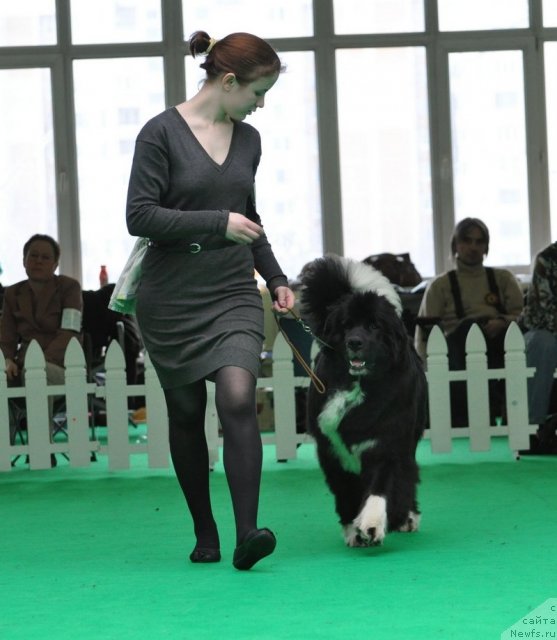 Фотография № 91094