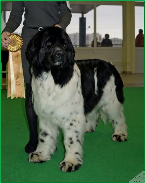 Фотография № 91100