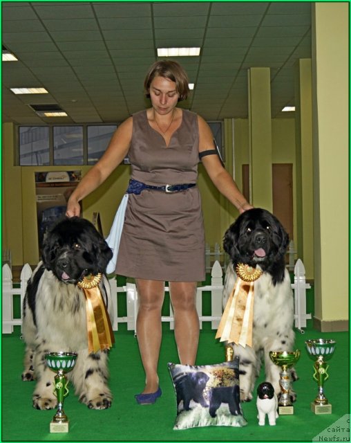 Фото: Ксения Семикова, ньюфаундленд Питерньюф Плэй Бой (Piternyuf Play Boy), ньюфаундленд Питерньюф Продижи (Piternyuf Prodigy)