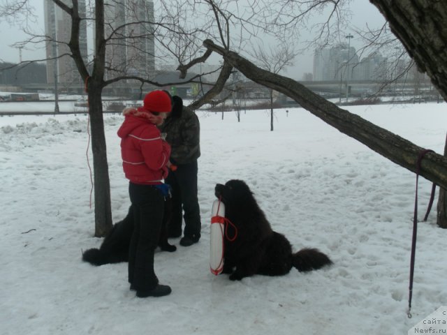 Фотография № 91136