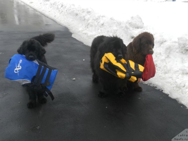 Фотография № 91140