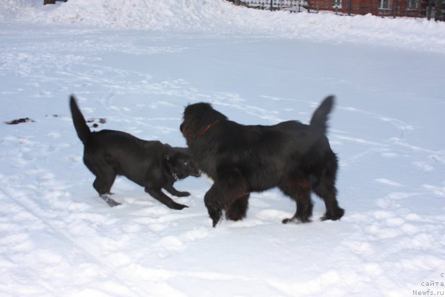 Фото: Наталья Новикова