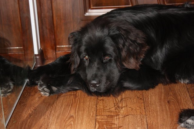 Фото: Наталья Новикова