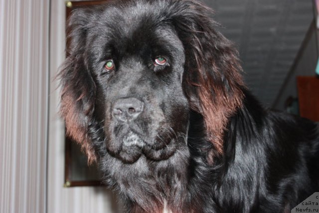 Фото: Наталья Новикова