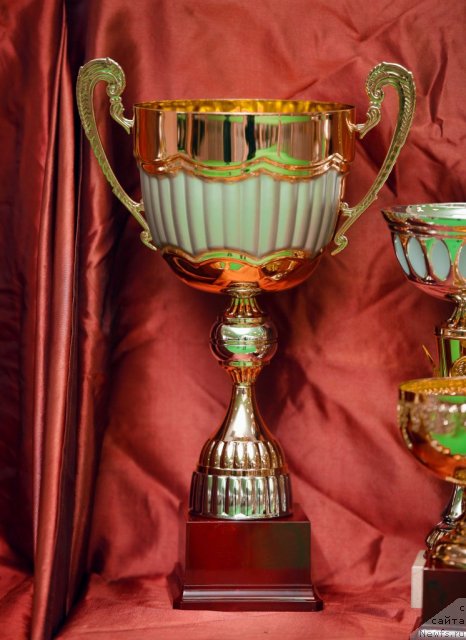 Фотография № 91197