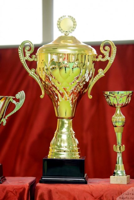 Фотография № 91198