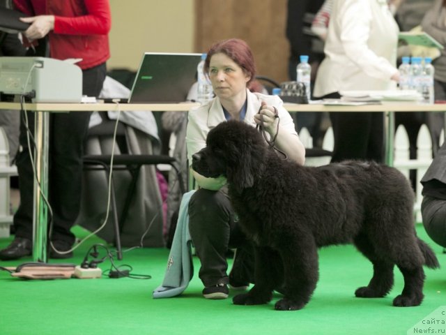 Фотография № 91210