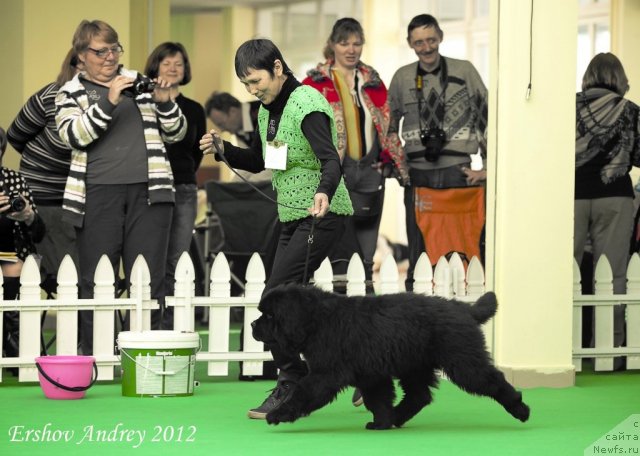 Фотография № 91211