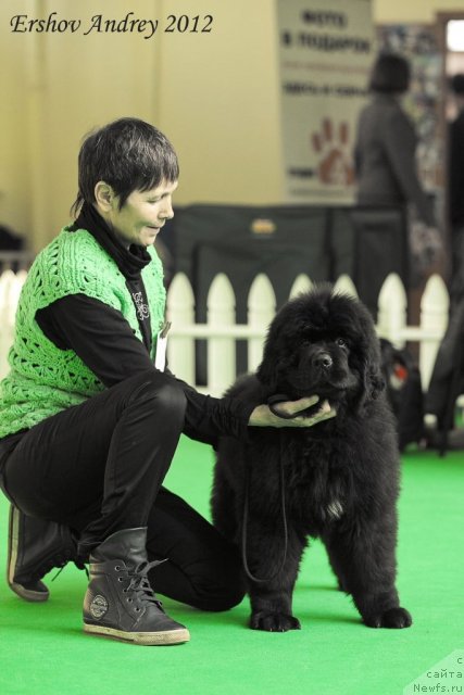 Фотография № 91212