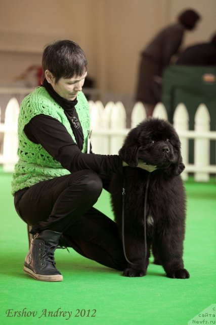 Фотография № 91213