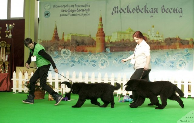 Фотография № 91217