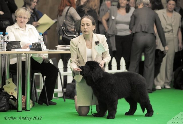 Фотография № 91218