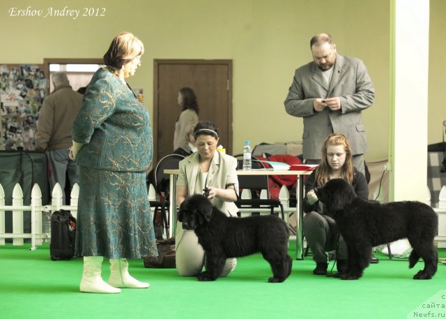 Фотография № 91222