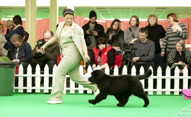 Фотография № 91224