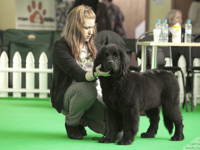 Фотография № 91226