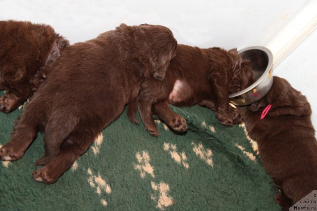 Фотография № 91230