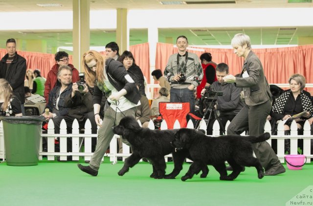 Фотография № 91231