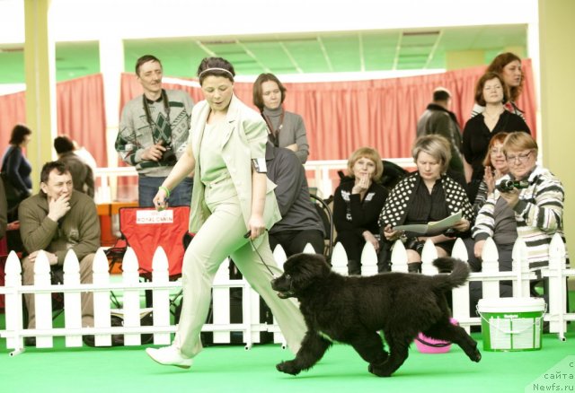 Фотография № 91232