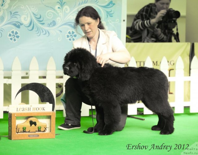 Фотография № 91238