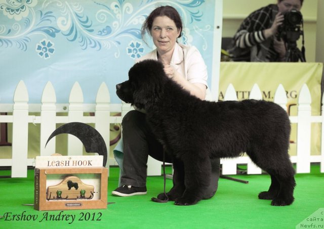 Фотография № 91239