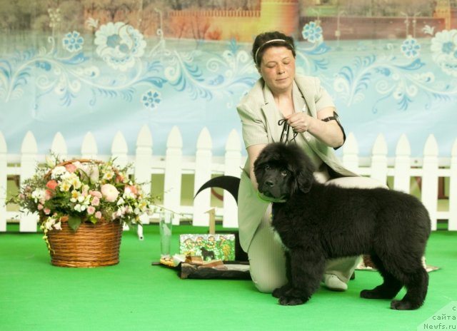 Фотография № 91240