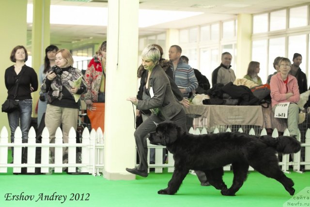 Фотография № 91242