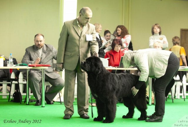 Фотография № 91246