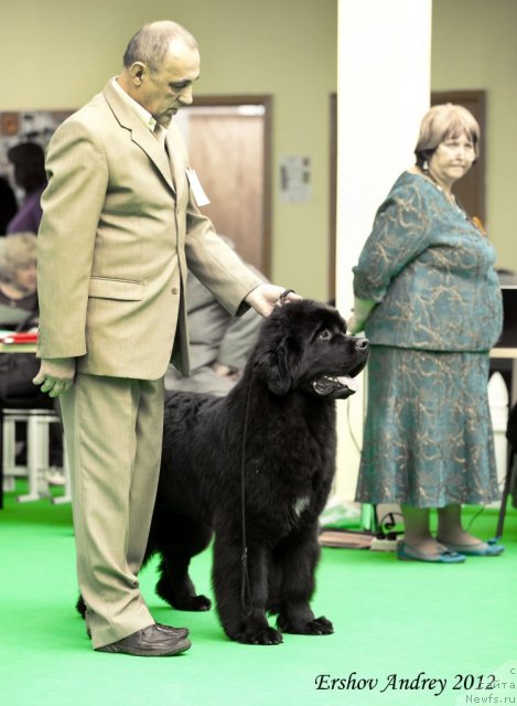 Фотография № 91247