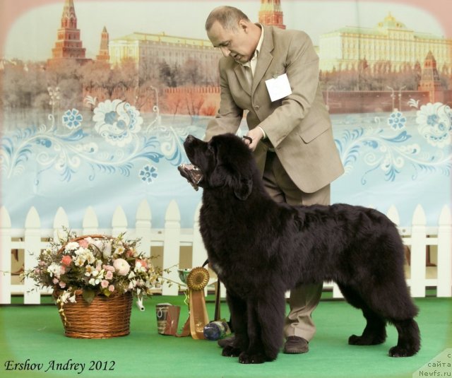 Фотография № 91248