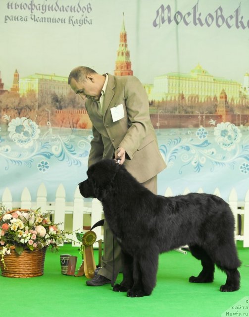 Фотография № 91249