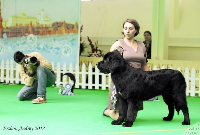 Фотография № 91254