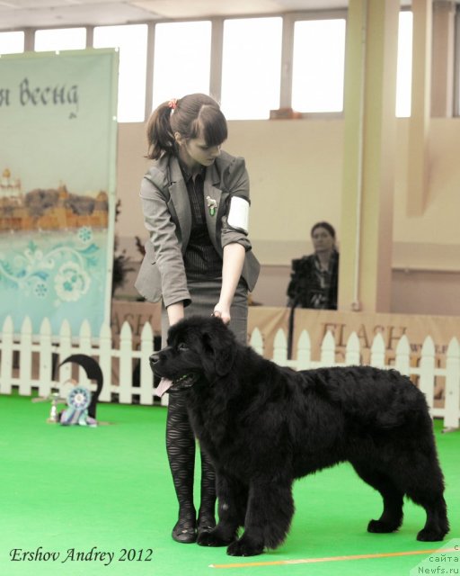 Фотография № 91257