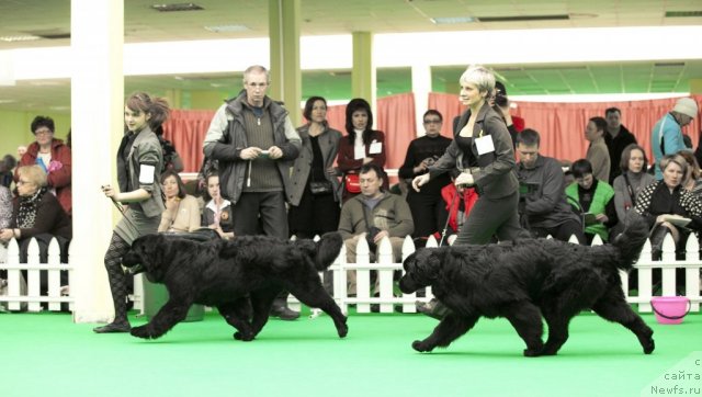 Фотография № 91258