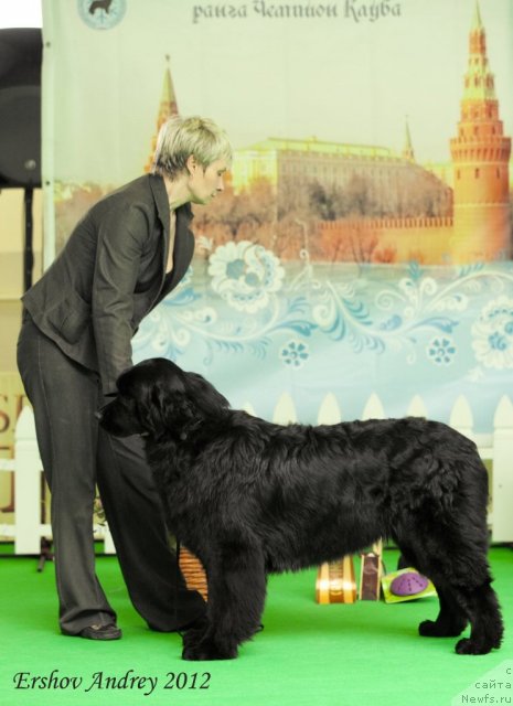 Фотография № 91260