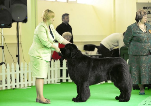 Фотография № 91262