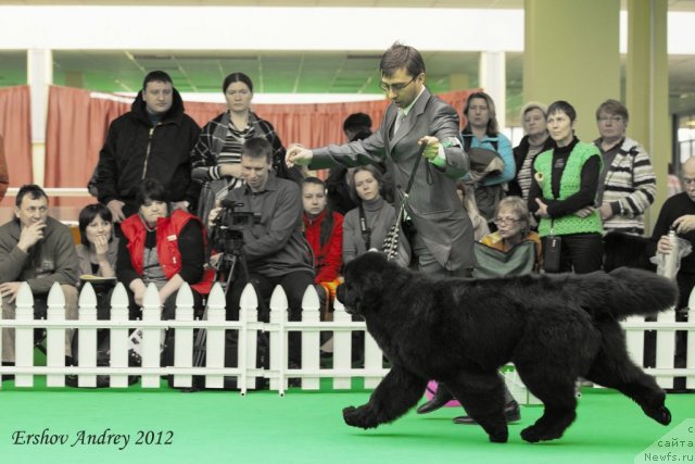 Фотография № 91270