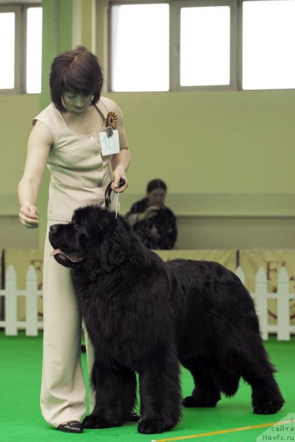 Фотография № 91273