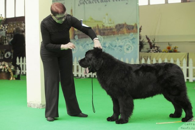 Фотография № 91275