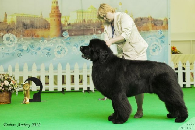 Фотография № 91277