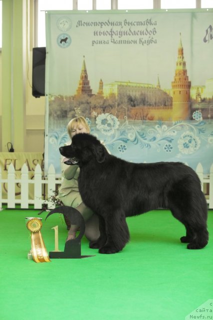 Фотография № 91278